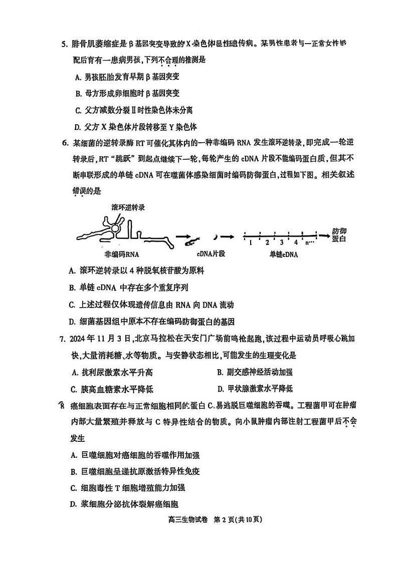 北京市顺义区2024-2025学年高三上学期期末生物试题第2页