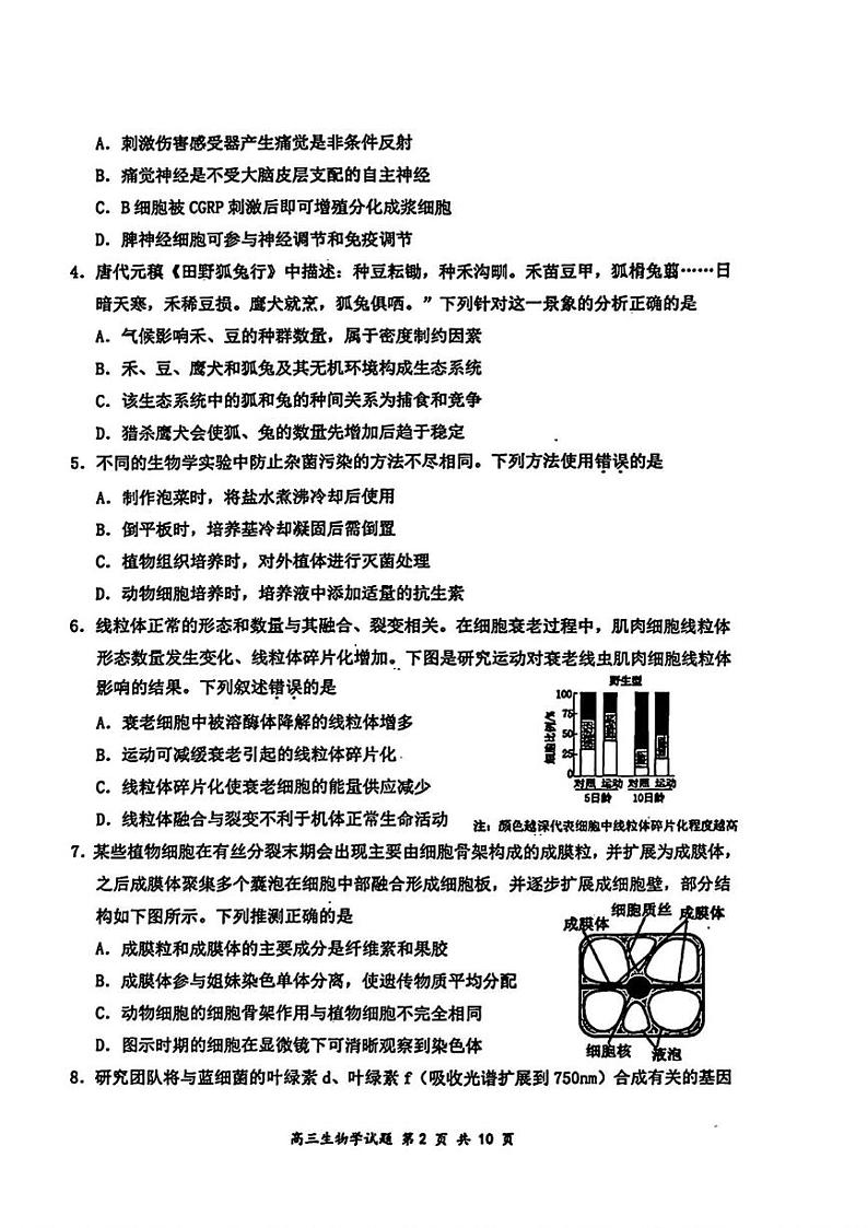广东省深圳市龙岗区2024-2025学年高三上学期期末质量监测生物试卷第2页