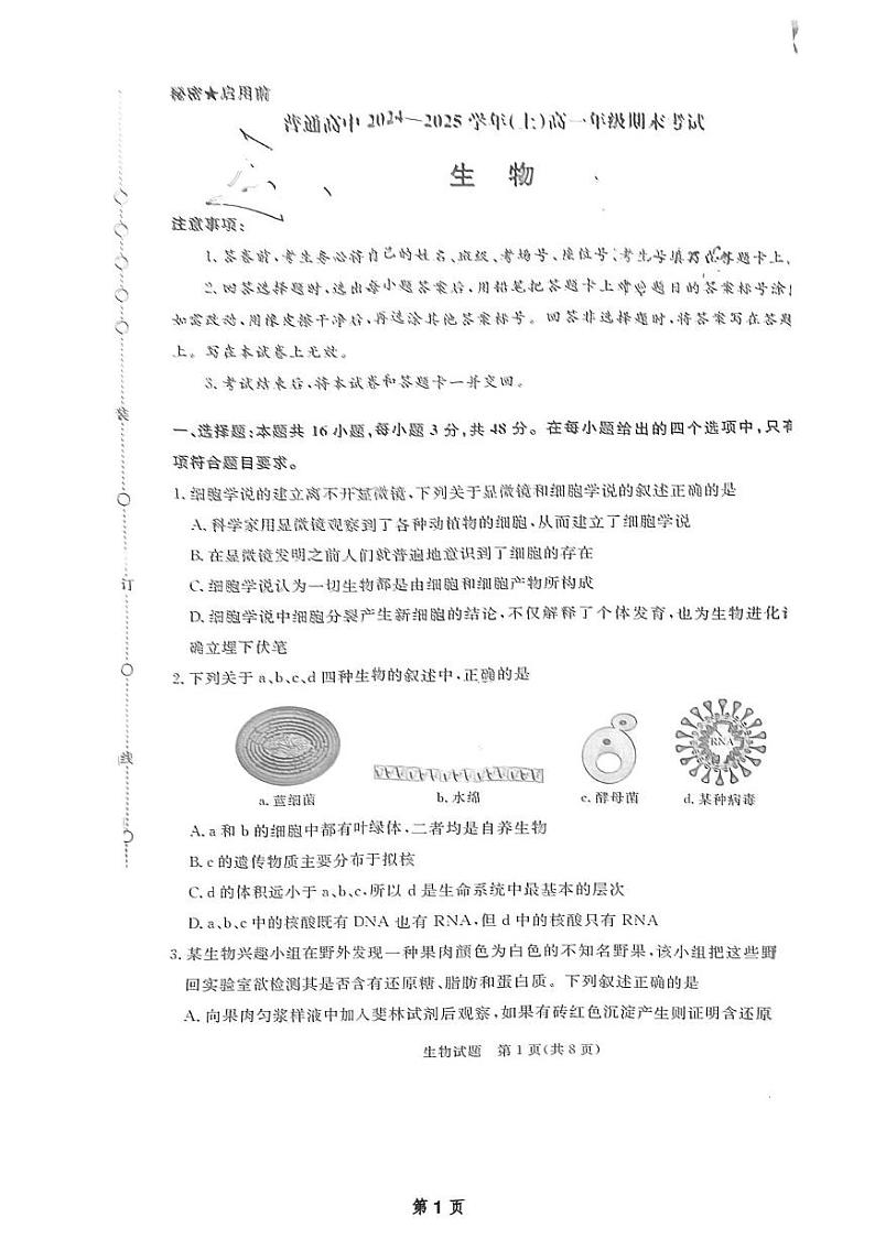 河南省濮阳市2024-2025学年高一上学期1月期末考试生物试题第1页