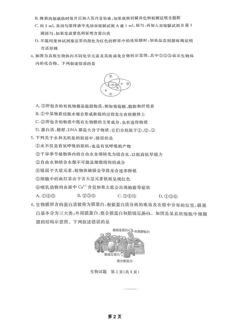 河南省濮阳市2024-2025学年高一上学期1月期末考试生物试题第2页