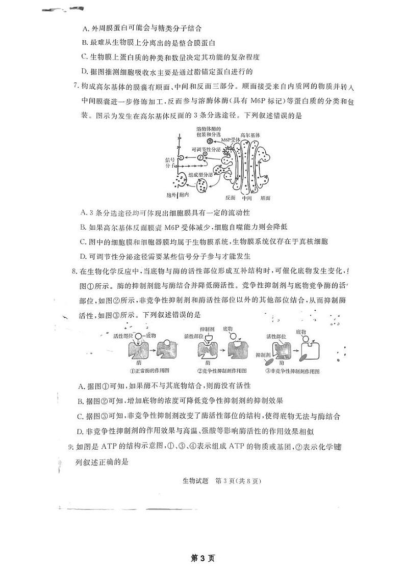 河南省濮阳市2024-2025学年高一上学期1月期末考试生物试题第3页