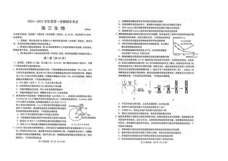 山东省青岛市四区2024-2025学年高三上学期期末生物试题第1页