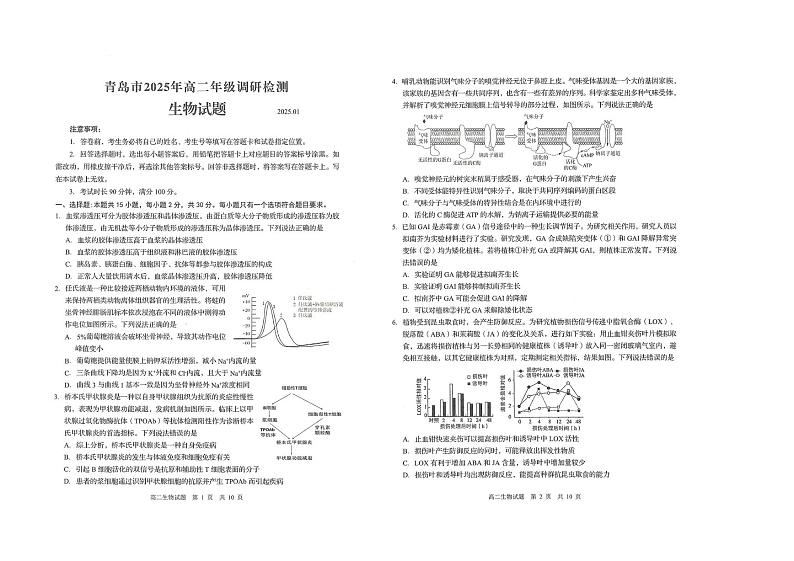 山东省青岛市四区联考2024-2025学高二上学期期末生物试题第1页