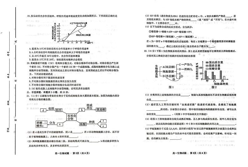 山东省潍坊市2024-2025学年高一上学期期末考试生物试题第3页