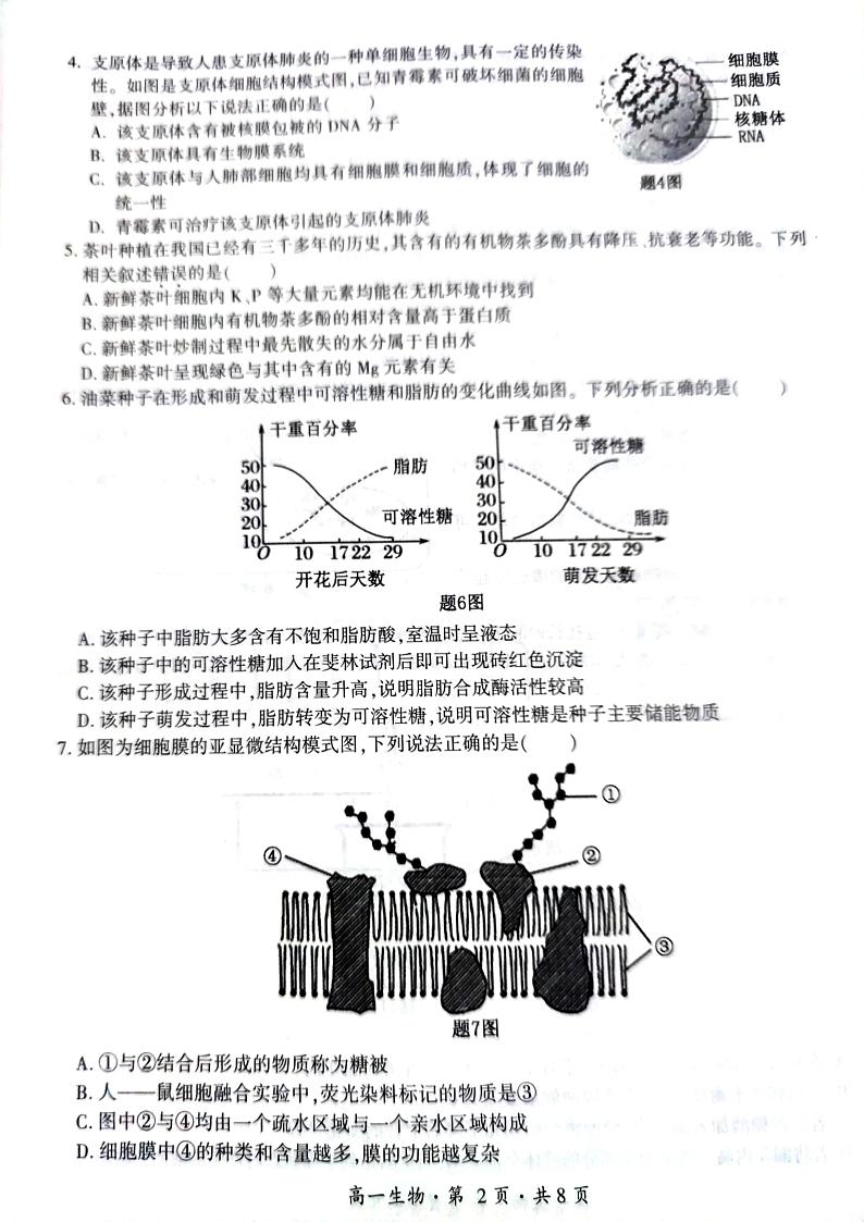 云南省曲靖市会泽县2024-2025学年高一上学期期末统一考试生物试题第2页