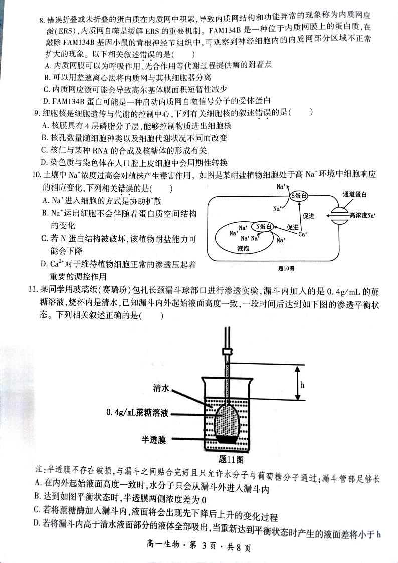 云南省曲靖市会泽县2024-2025学年高一上学期期末统一考试生物试题第3页