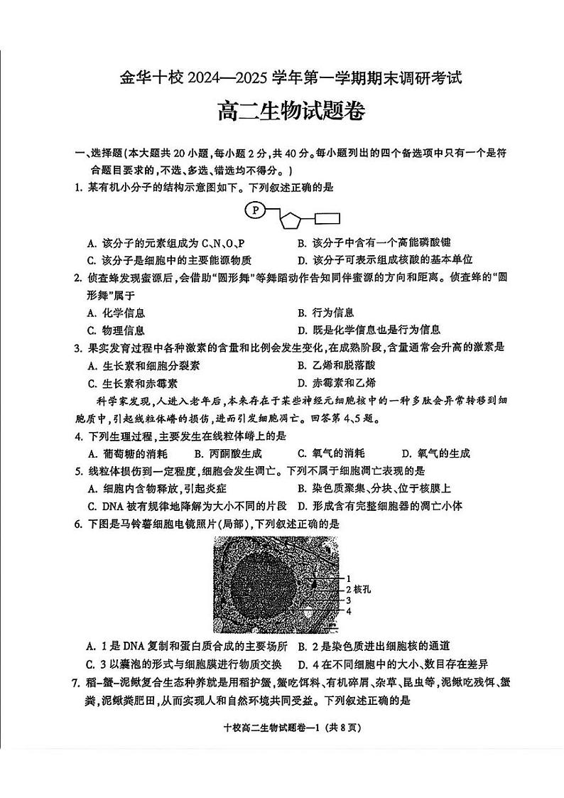 浙江省金华十校2024-2025学年高二上学期期末生物试卷第1页