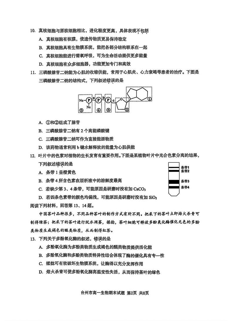 浙江省台州市2024-2025学年高一上学期期末质量评估生物试题第2页