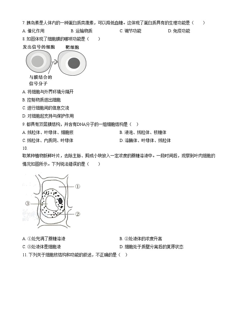 江苏省泰州市2024-2025学年高二上学期12月合格性考试模拟测试生物试题  Word版无答案第2页
