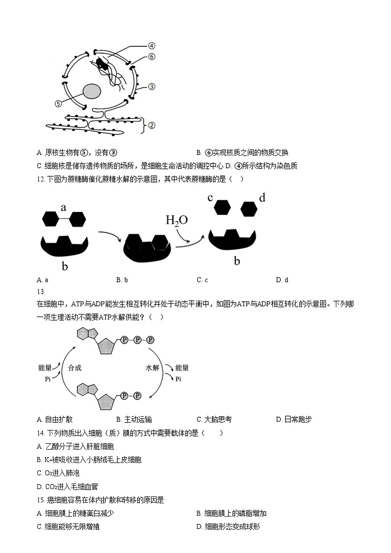 江苏省泰州市2024-2025学年高二上学期12月合格性考试模拟测试生物试题  Word版无答案第3页