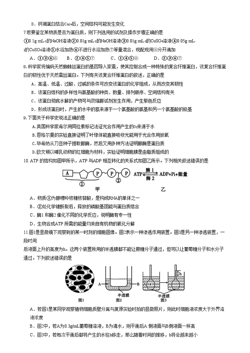 生物 眉山市县高中24级高一期末联考生物试题第2页