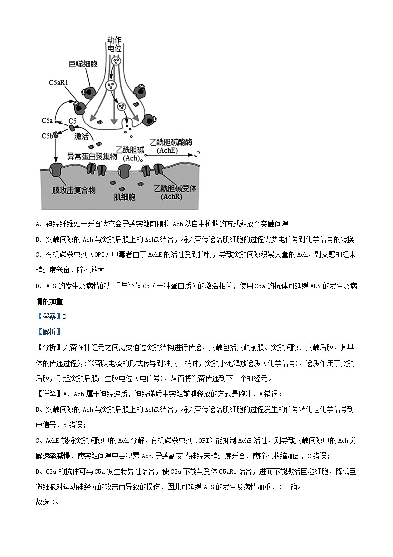 重庆市2023_2024学年高三生物上学期期末复习二试题含解析第2页