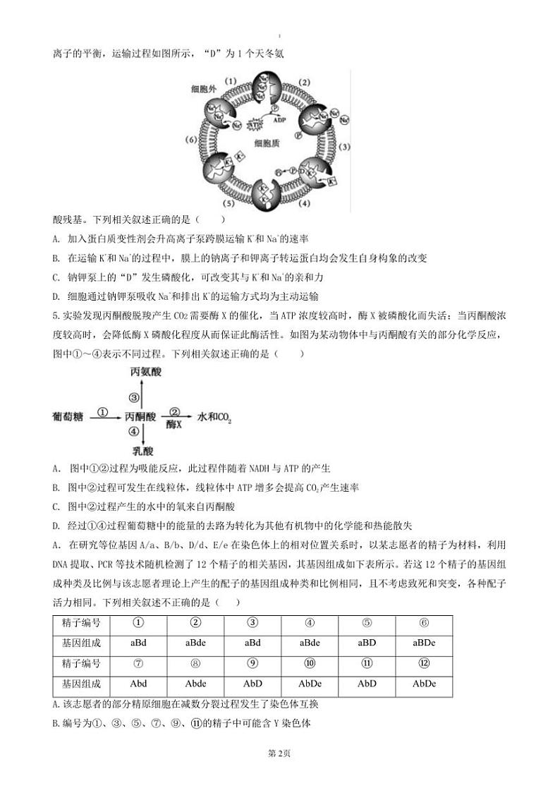 2024～2025学年湖北省重点中学高三上(二)联考(月考)(期末)生物试卷(含答案)第2页