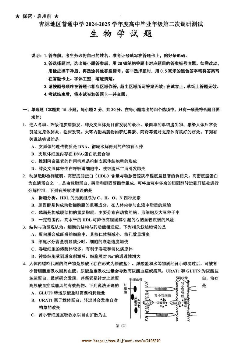 2024～2025学年吉林省吉林市普通中学高三上高考二模试卷生物(含答案)第1页