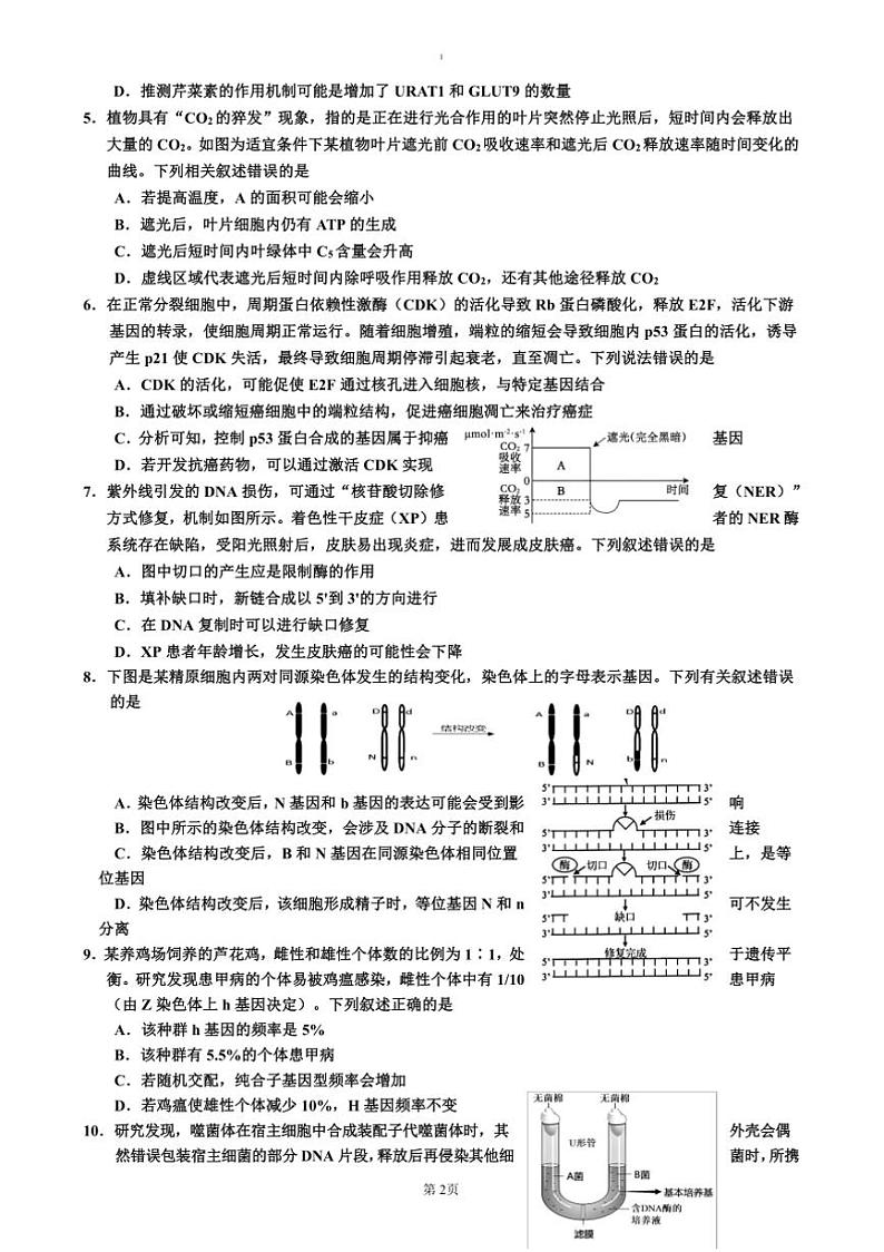 2024～2025学年吉林省吉林市普通中学高三上高考二模试卷生物(含答案)第2页