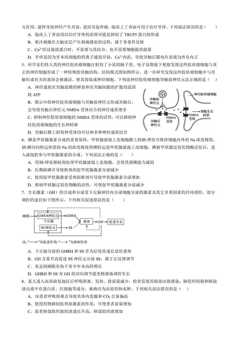 2024～2025学年四川省泸州市泸州高级中学高二上1月期末生物试卷(含答案)第2页