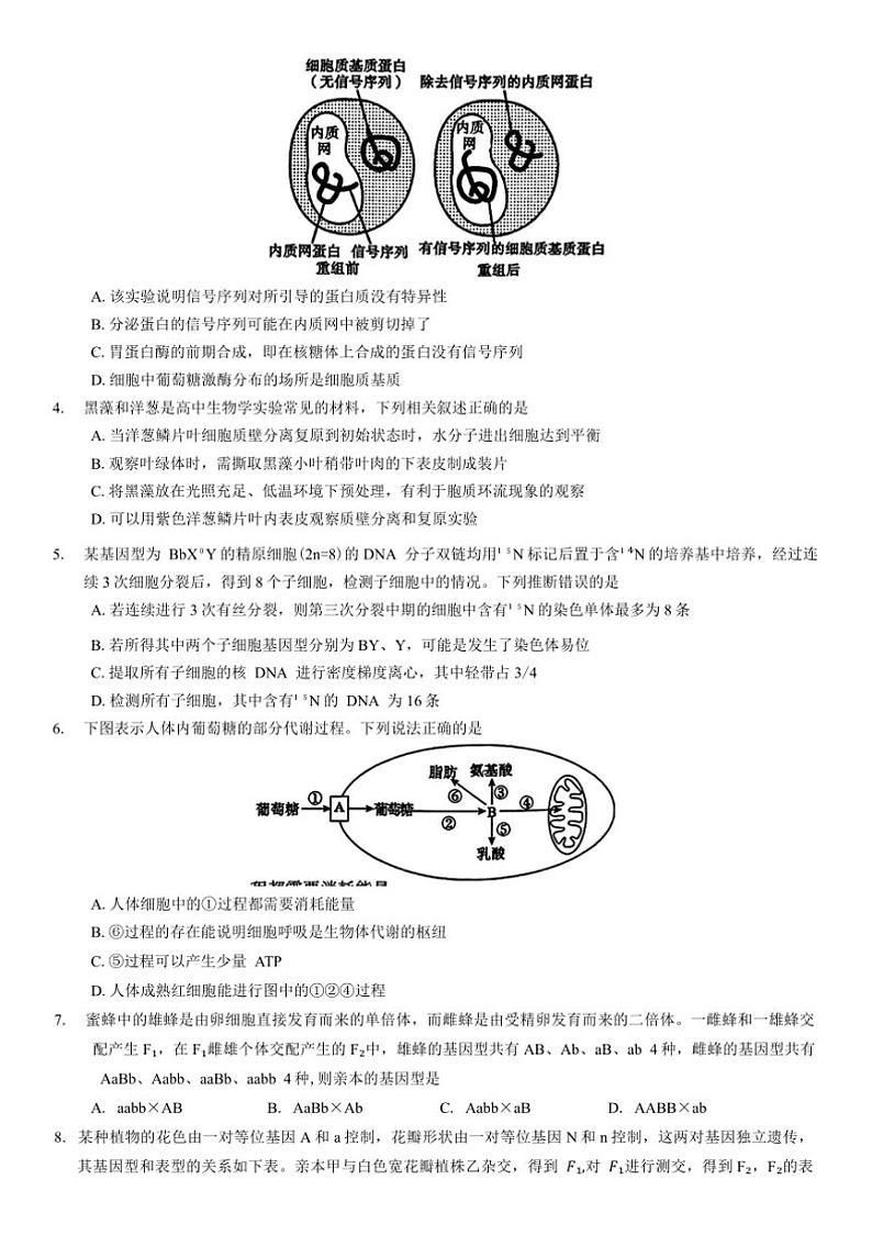 2024～2025学年河南省信阳市普通高中高三上(二)教学月考生物模拟试卷(含答案)第2页