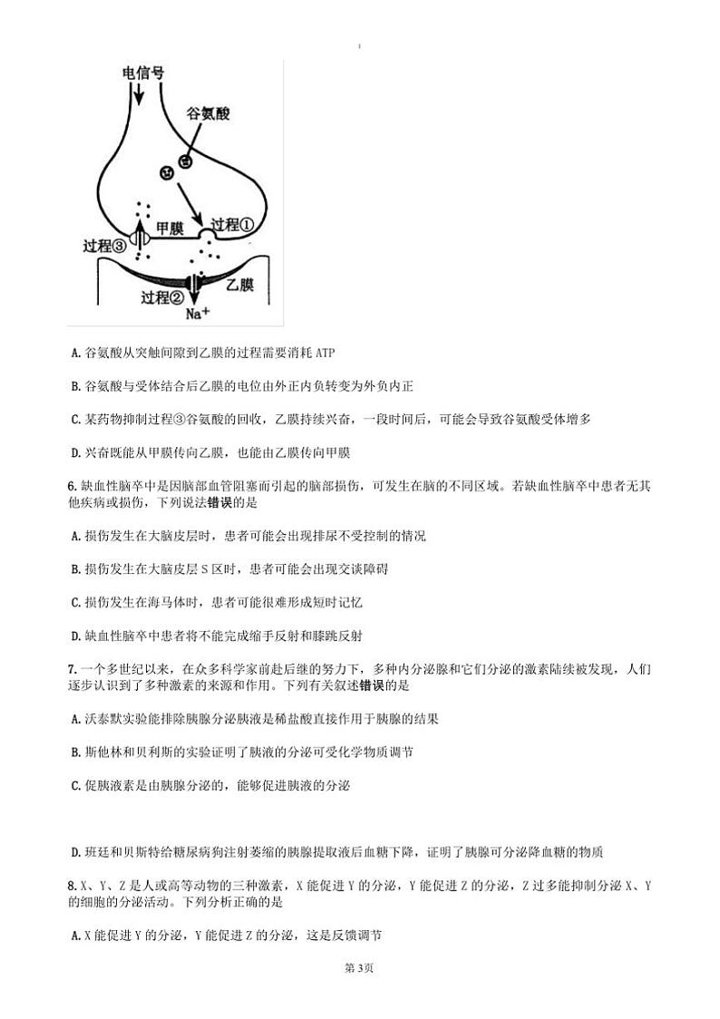 2024～2025学年河南省郑州市高二上期末考试生物试卷(含答案)第3页