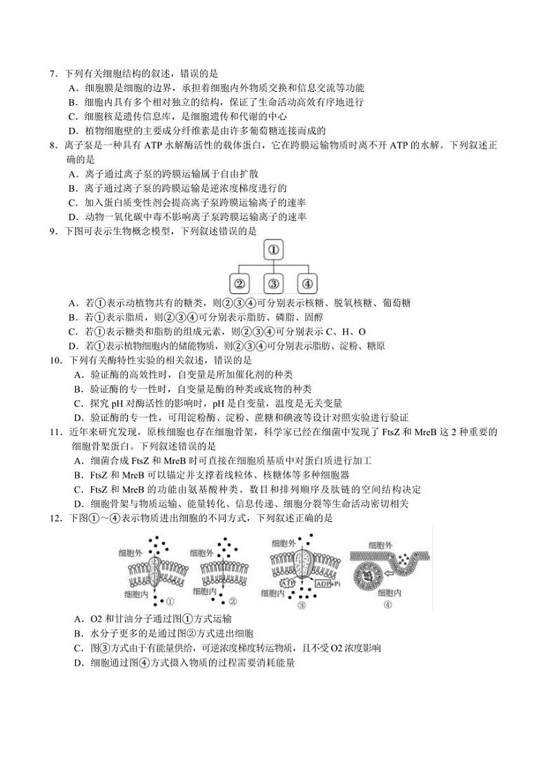 2024～2025学年天津市五区县重点校高一上1月期末联考(月考)生物试卷(含答案)第2页