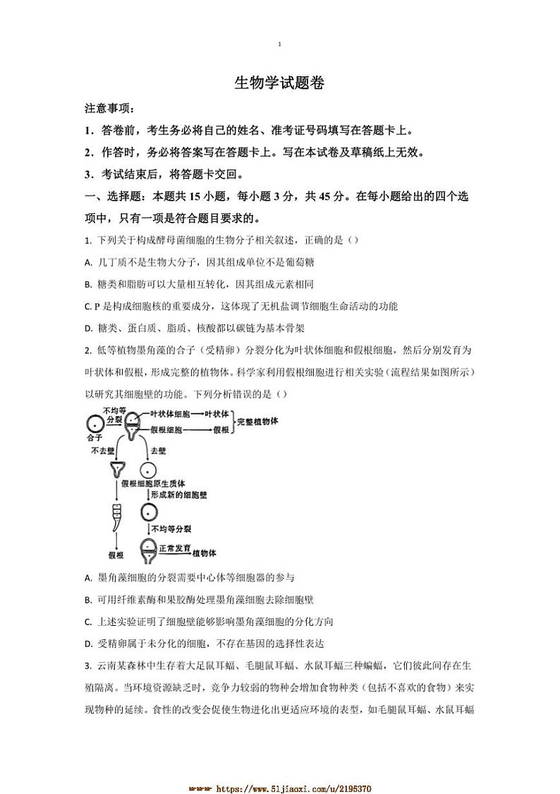 2024～2025学年重庆市第一中学高三上12月月考生物试卷(含答案)第1页