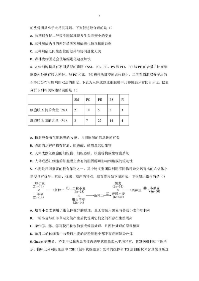 2024～2025学年重庆市第一中学高三上12月月考生物试卷(含答案)第2页