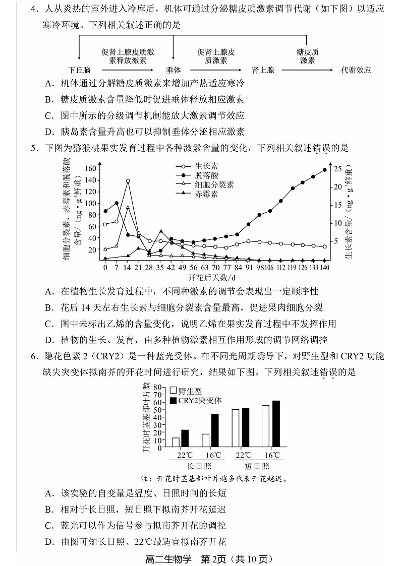 2025北京丰台高二上学期期末生物试卷和参考答案第2页
