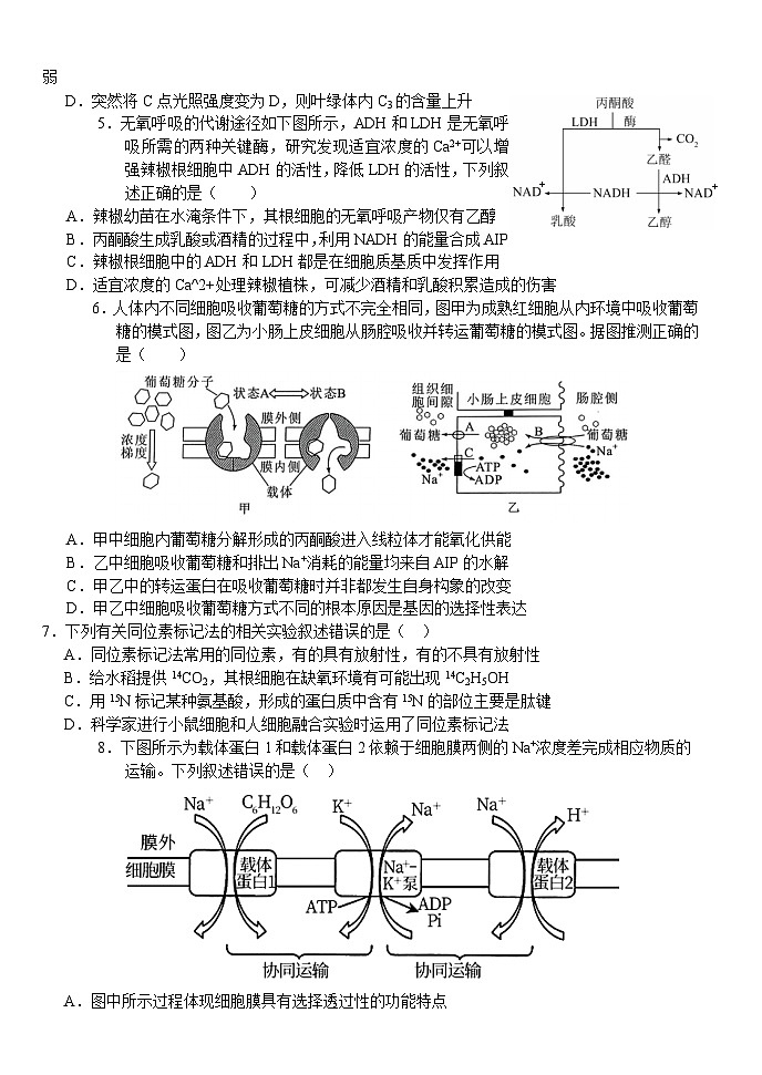 湖北省沙市中学2024-2025学年高三上学期9月月考试题 生物 Word版含答案第2页