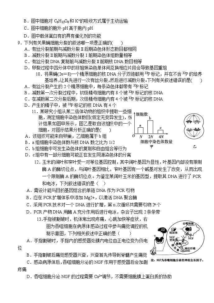 湖北省沙市中学2024-2025学年高三上学期9月月考试题 生物 Word版含答案第3页
