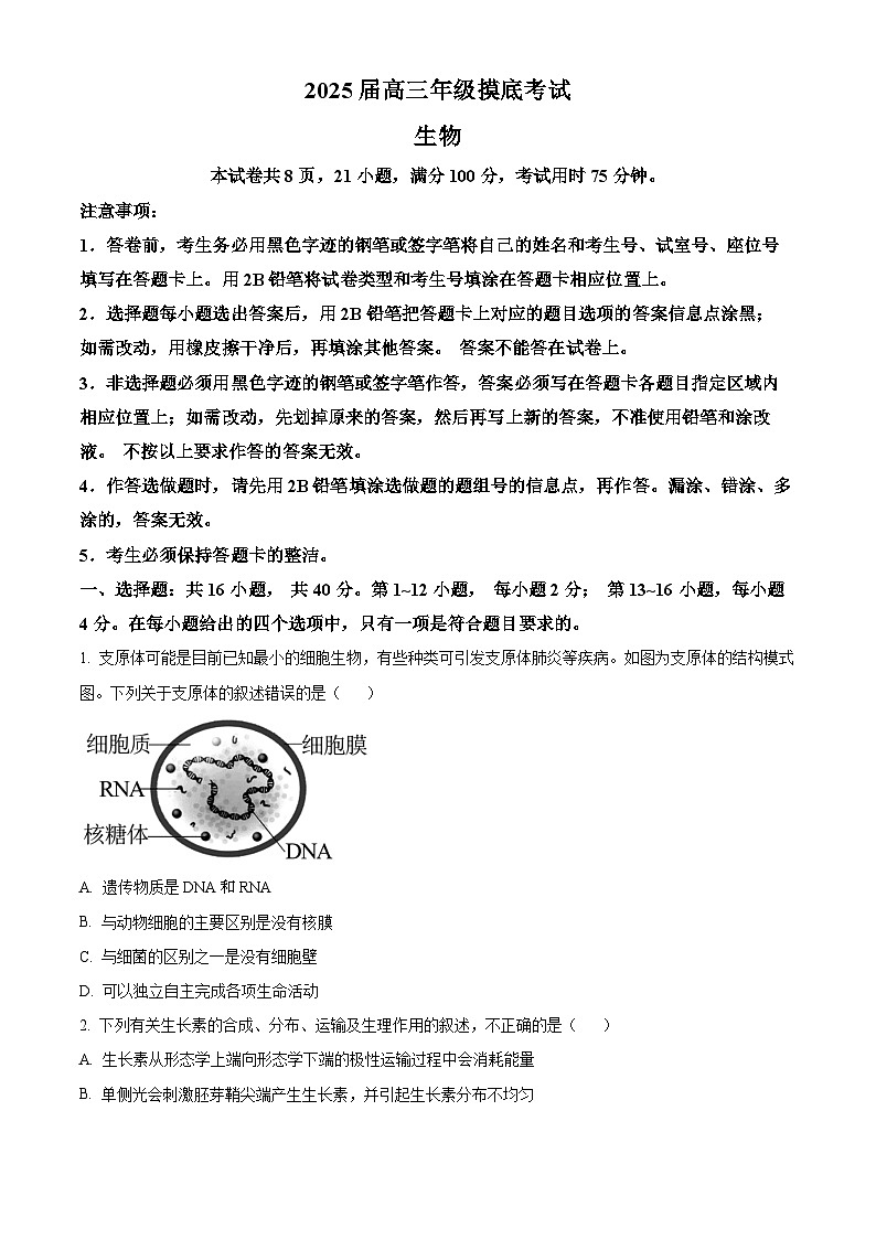广东省深圳中学2024-2025学年高三上学期第一次摸底考试生物试题（卷）第1页