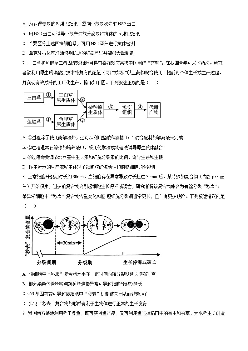 广东省深圳中学2024-2025学年高三上学期第一次摸底考试生物试题（卷）第3页