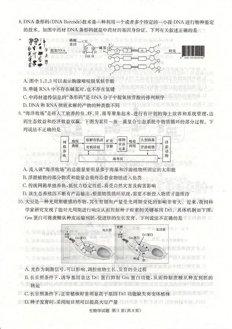 生物丨湖南省娄底市2025届高三1月期末教学质量检测生物试卷及答案第3页