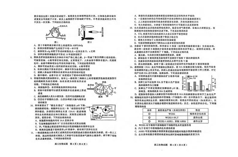 生物丨山东省潍坊市、临沂市2025届高三1月期末质量检测生物试卷及答案第2页