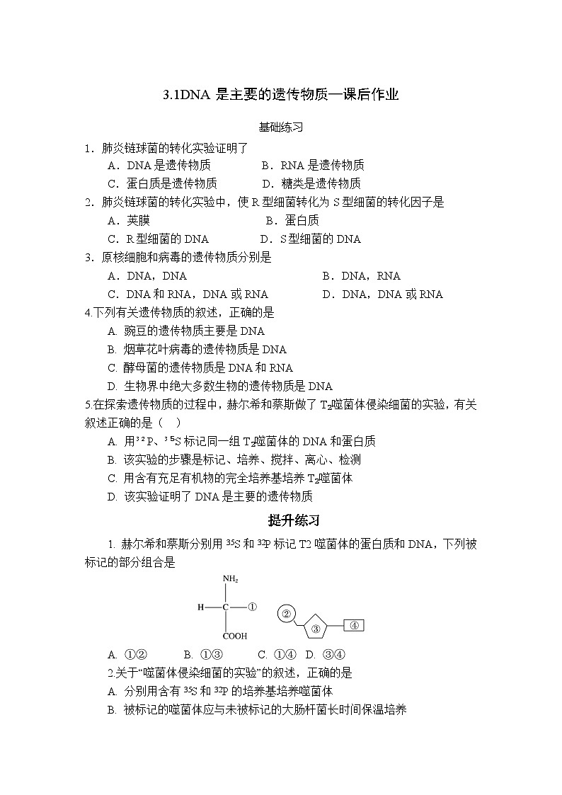 人教版(2019)高中生物必修二第3章基因的本质3.1《DNA是主要的遗传物质》(原卷版）第1页