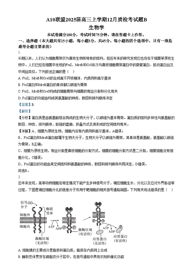 安徽省A10联盟2024—2025学年高三上学期12月联考生物试题  Word版含解析第1页