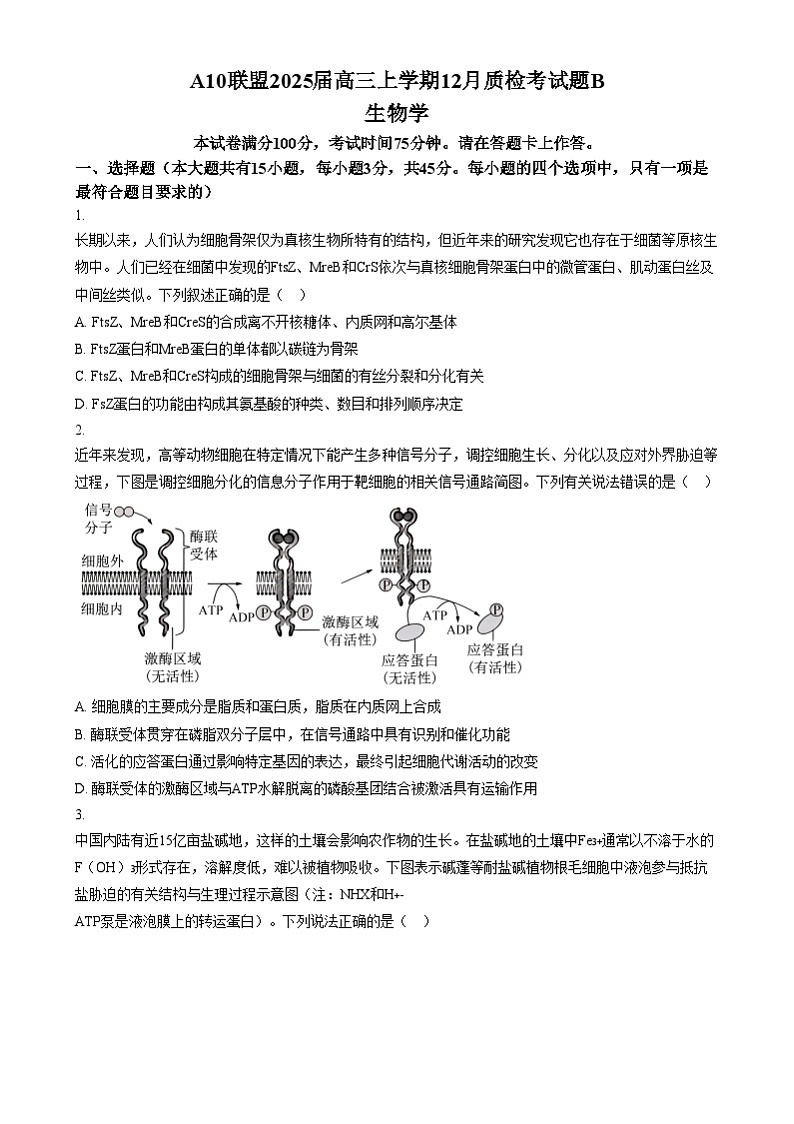 安徽省A10联盟2024—2025学年高三上学期12月联考生物试题  Word版无答案第1页