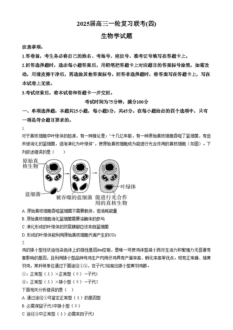 安徽省阜阳市第五中学2024-2025学年高三上学期12月月考生物试卷  Word版无答案第1页