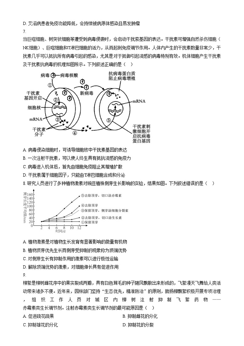 安徽省阜阳市第五中学2024-2025学年高三上学期12月月考生物试卷  Word版无答案第3页