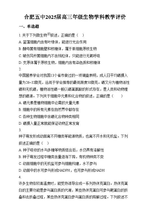 安徽省合肥市五中2024-2025学年高三上学期11月月考生物试题  Word版无答案第1页