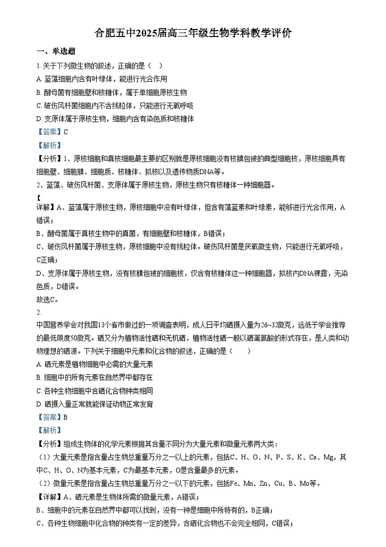 安徽省合肥市五中2024-2025学年高三上学期11月月考生物试题  Word版含解析第1页