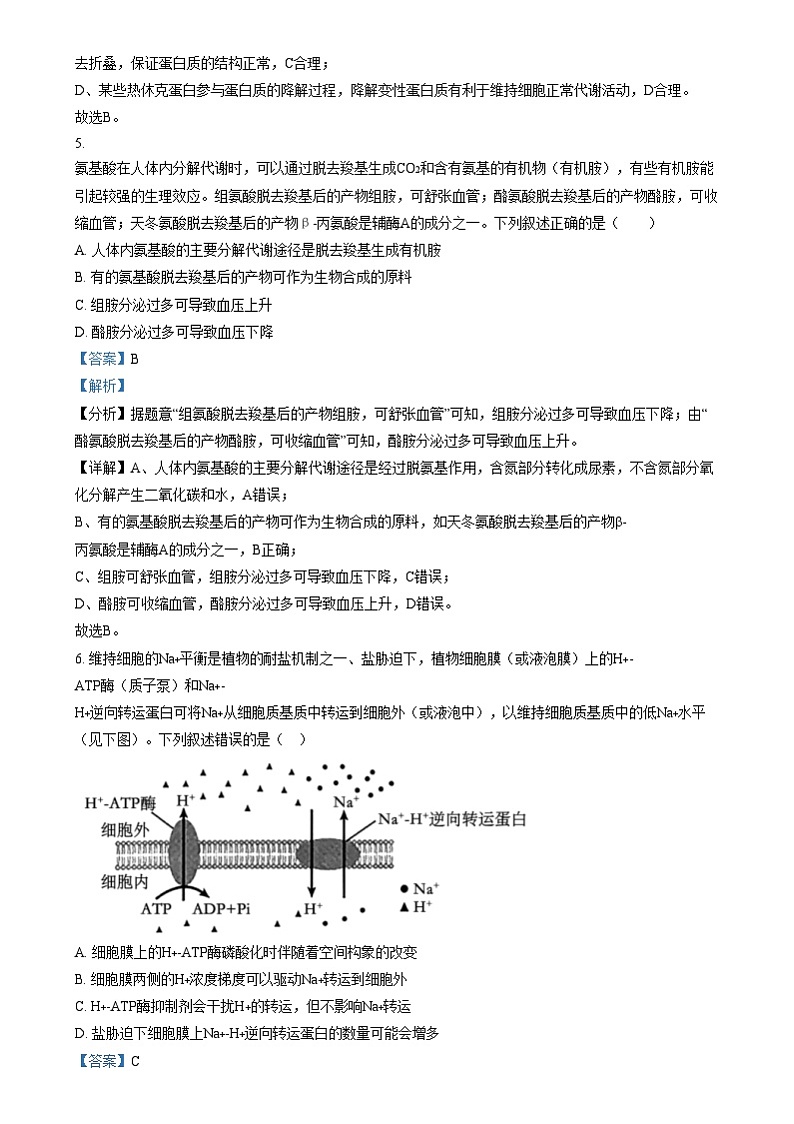 安徽省合肥市五中2024-2025学年高三上学期11月月考生物试题  Word版含解析第3页