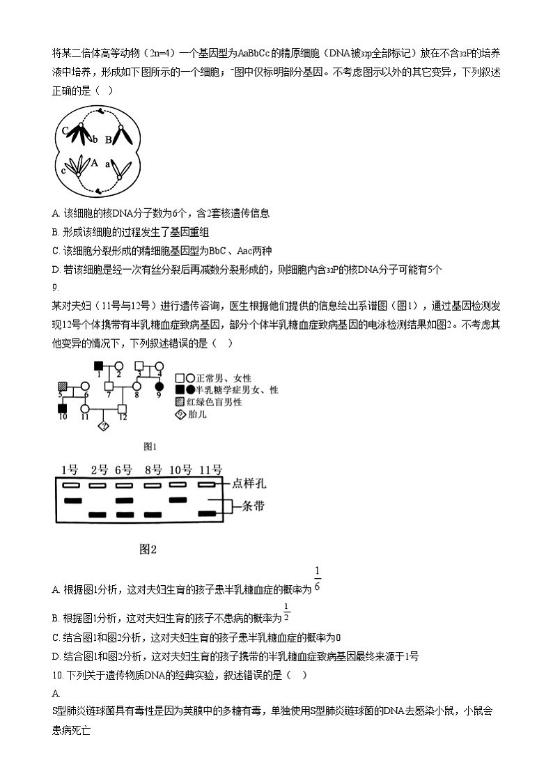 安徽省六安第二中学2024-2025学年高三上学期12月月考生物试题  Word版无答案第3页