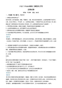 安徽省六安第二中学2024-2025学年高三上学期12月月考生物试题（Word版附解析）