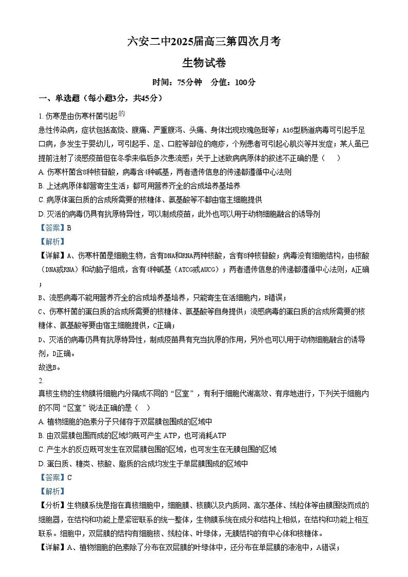 安徽省六安第二中学2024-2025学年高三上学期12月月考生物试题  Word版含解析第1页