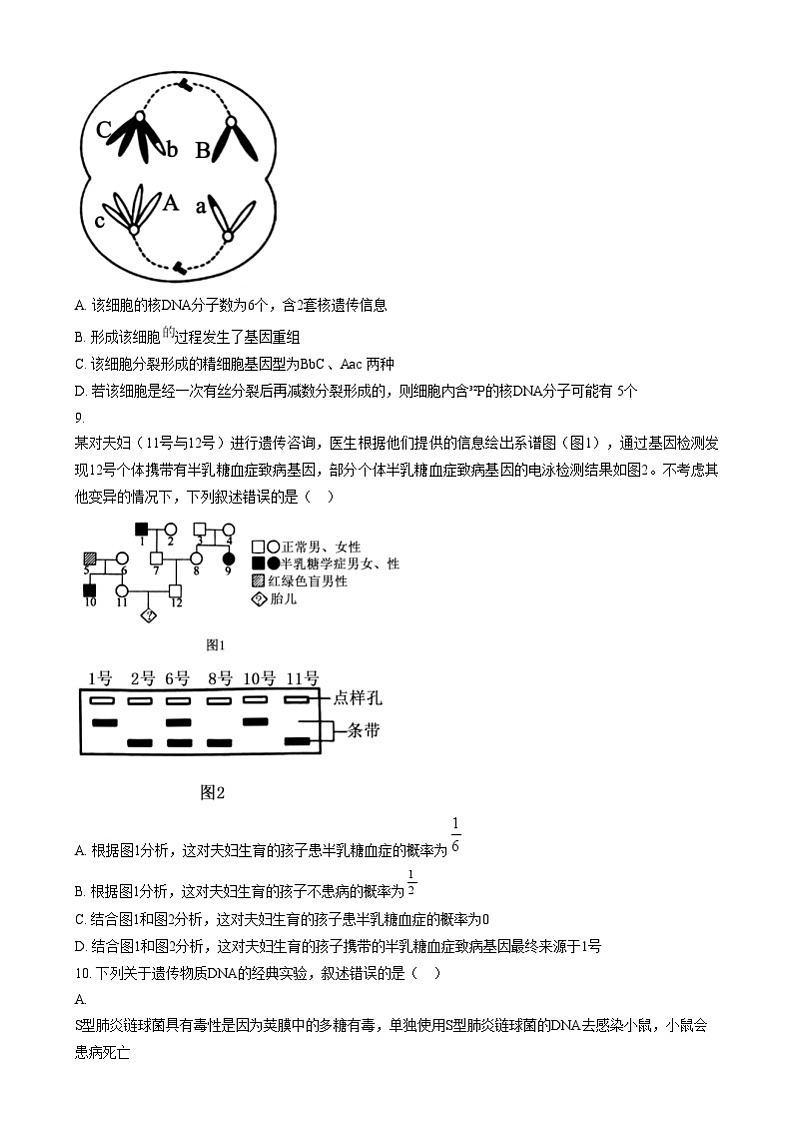安徽省六安市第二中学2024-2025学年高三上学期12月月考生物试题  Word版无答案第3页