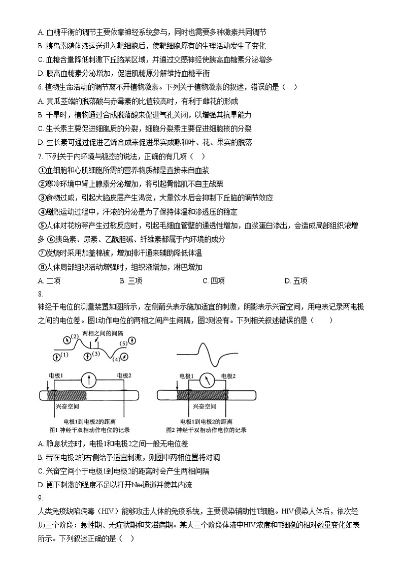 安徽省马鞍山市第一中学2024-2025学年高二上学期12月月考生物试题  Word版无答案第2页