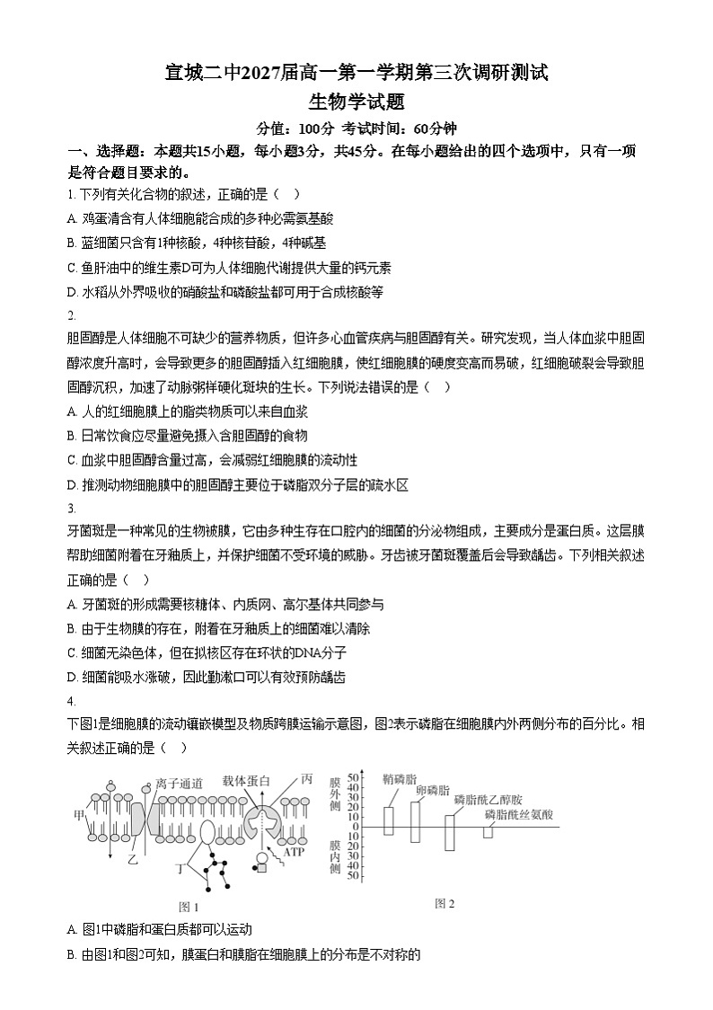 安徽省宣城市第二中学2024-2025学年高一上学期12月月考生物试题  Word版无答案第1页