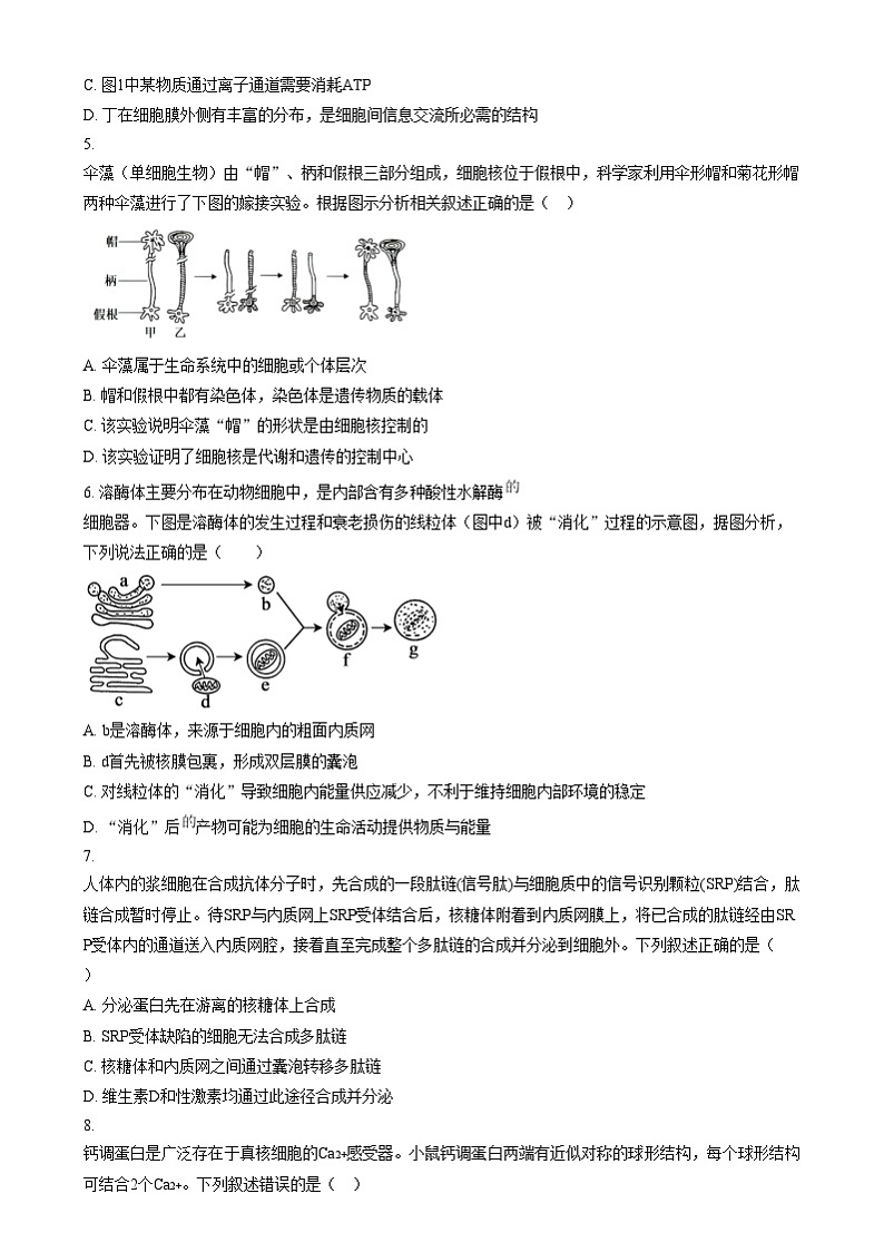 安徽省宣城市第二中学2024-2025学年高一上学期12月月考生物试题  Word版无答案第2页
