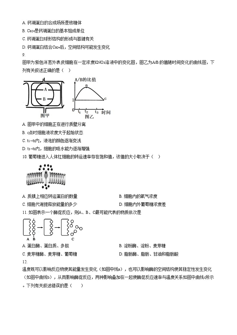安徽省宣城市第二中学2024-2025学年高一上学期12月月考生物试题  Word版无答案第3页