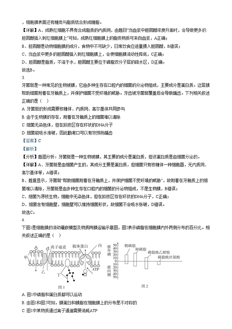 安徽省宣城市第二中学2024-2025学年高一上学期12月月考生物试题  Word版含解析第2页