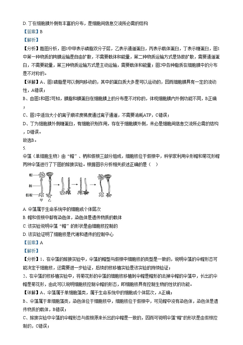 安徽省宣城市第二中学2024-2025学年高一上学期12月月考生物试题  Word版含解析第3页